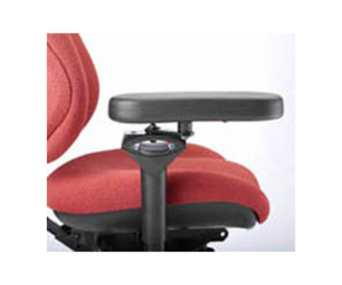 BodyBilt 12” S’port Pivot Arms