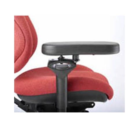 BodyBilt 12” S’port Pivot Arms