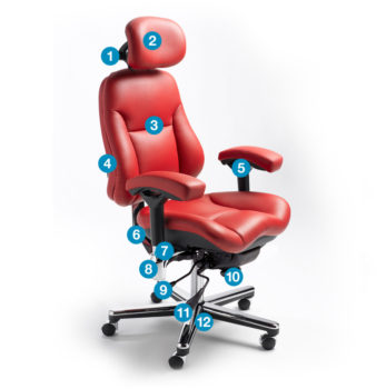 12-Point Posture Control System